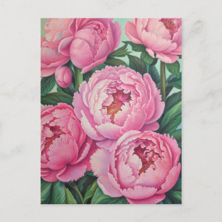 Pink peonies postcard
