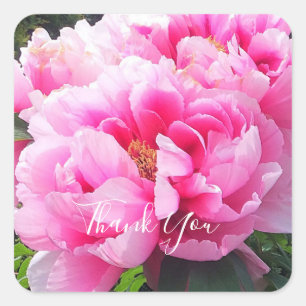 Pink Peonies Square Sticker