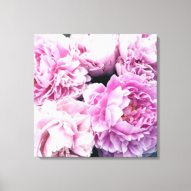 Pink Peonies Stretched Canvas Print (Front)