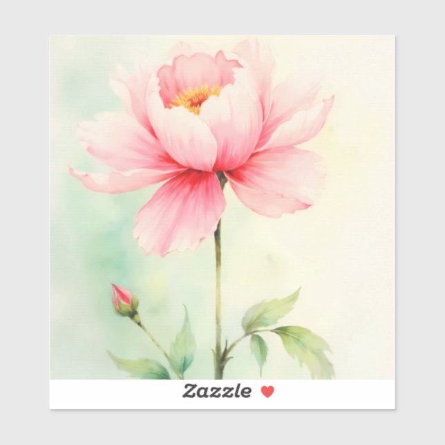 Pink Peony (Sheet)