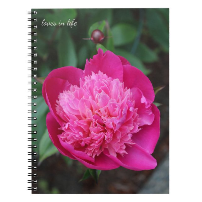 Pink Peony & Baby Bud Notebook (Front)