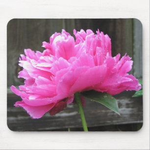Pink Peony Bloom Mouse Mat