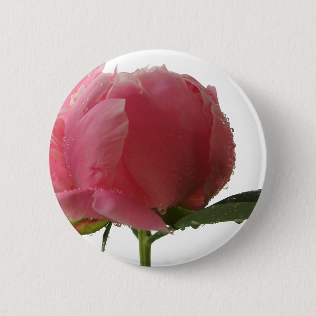 Pink Peony Blossom 6 Cm Round Badge (Front)