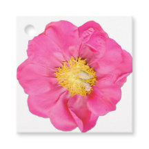 Pink Peony Blossom Botanical Square Favour Tags