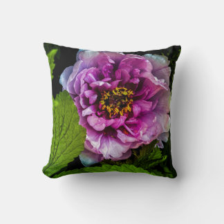 Pink Peony Blossom Cushion
