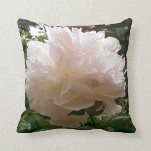 Pink Peony Blossom. Cushion