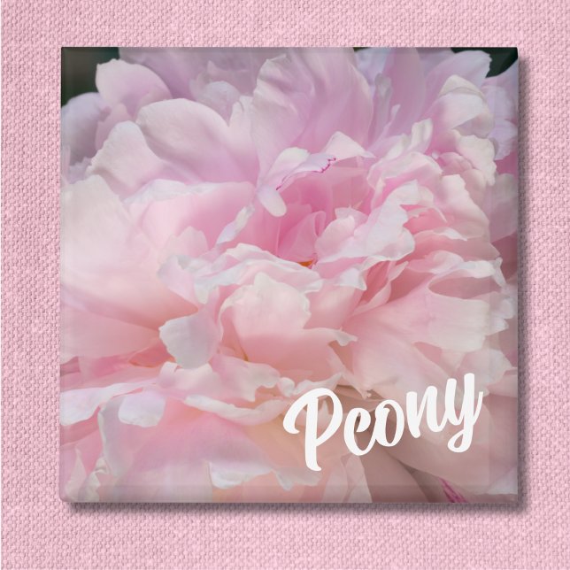 Pink Peony Blossom For Peony Lovers Magnet (Creator Uploaded)