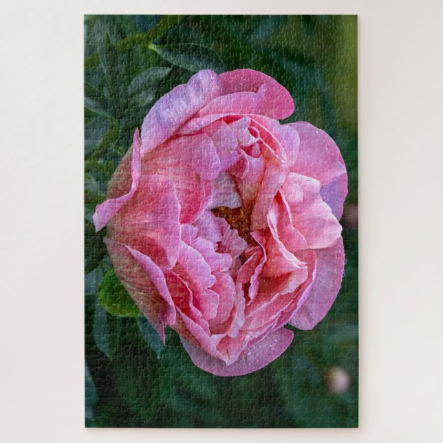 Pink Peony, Canadian Floral Photograph Jigsaw Puzzle (Vertical)