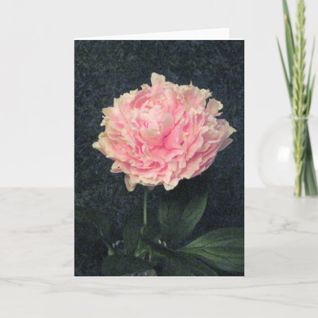 Pink Peony Card (Front)