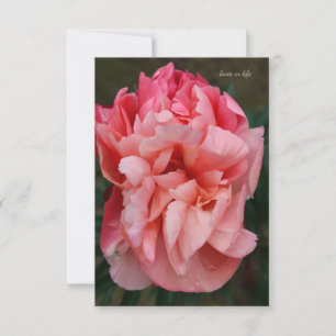 Pink Peony Card