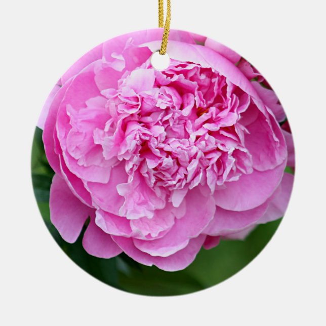Pink peony ceramic tree decoration (Front)