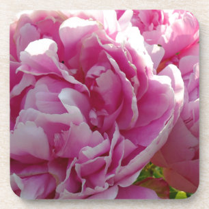 Pink Peony cottage farmhouse floral garden Coaster