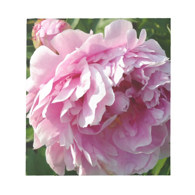 Pink Peony | cottage farmhouse floral garden Notepad (Front)
