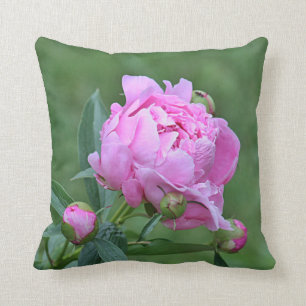 Pink peony cushion