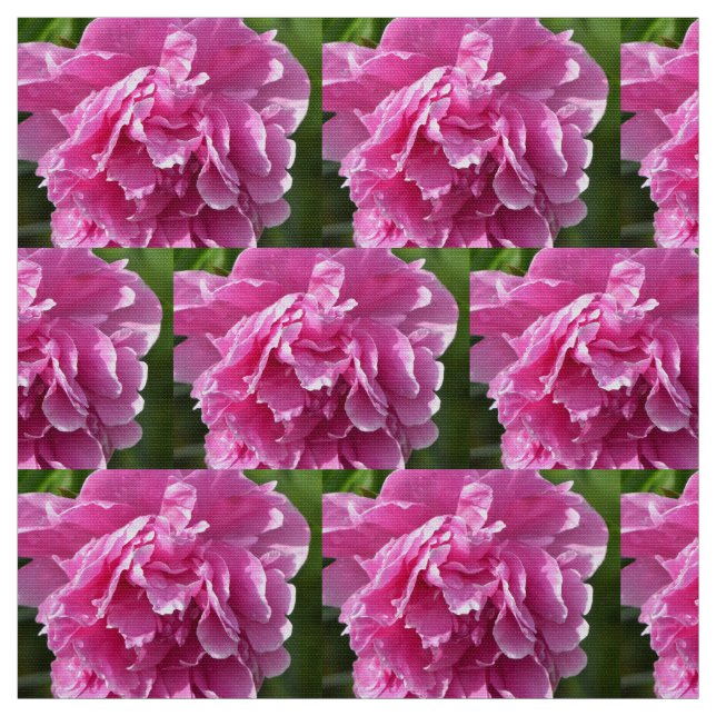 Pink Peony Fabric (Swatch)
