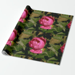 Pink Peony Floral Wrapping Paper