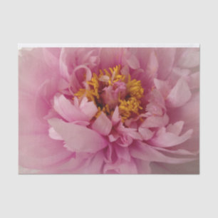 Pink Peony Flower Blossom Photo Decoupage  Tissue Paper