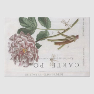 Pink Peony Flower Botanical French Dragonfly Craft Tissue Paper