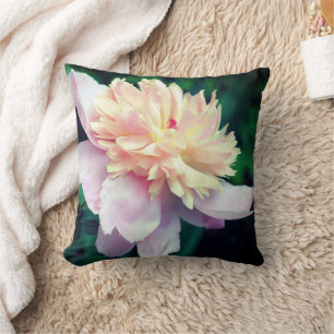 Pink Peony Flower In Bloom Close Up Cushion