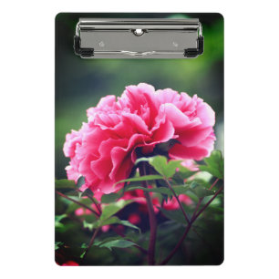 Pink Peony Flower in the Garden-33333 Mini Clipboard