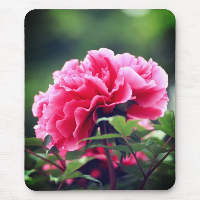 Pink Peony Flower in the Garden-33333 Mouse Mat (Front)