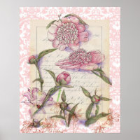Pink Peony Flower Pen and Ink Art Collage Drawing