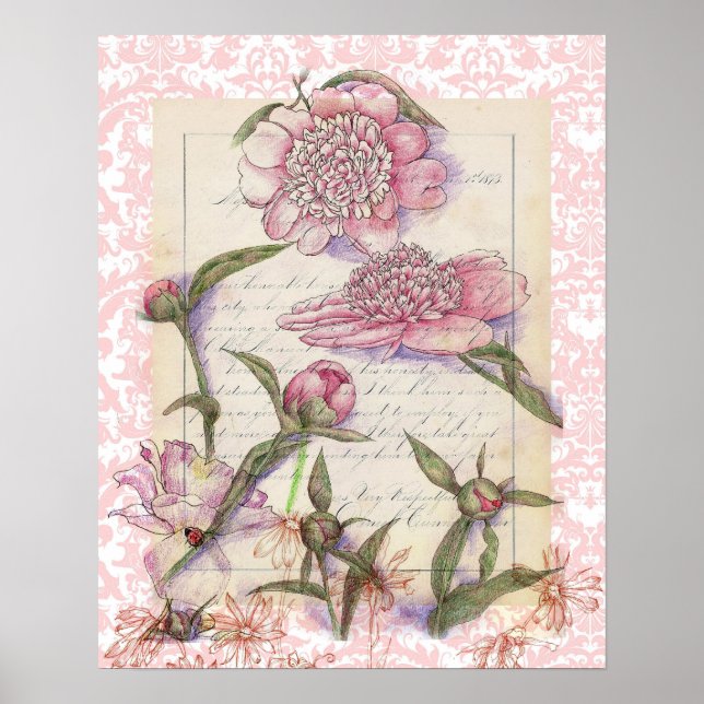 Pink Peony Flower Pen and Ink Art Collage Drawing Poster (Front)