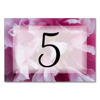 Pink Peony Flower Table Numbers