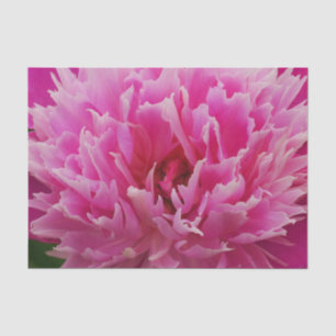 Pink Peony Flower Tissue Paper