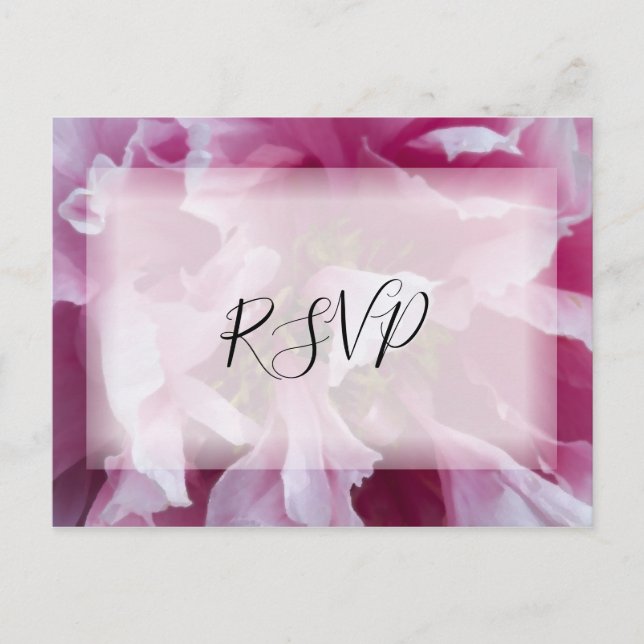 Pink Peony Flower Wedding RSVP Response Invitation Postcard (Front)