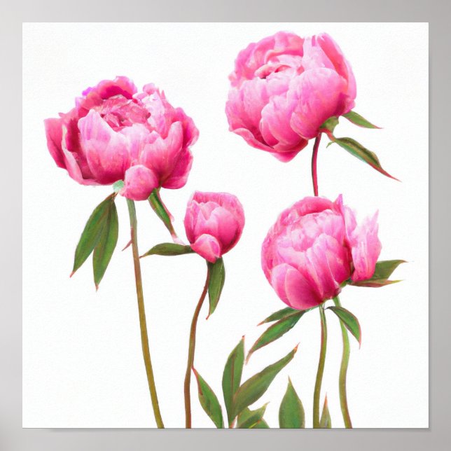 Pink Peony Flowers Art Print Poster (Front)