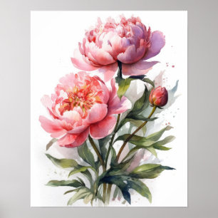 Pink Peony Flowers Art Print Poster