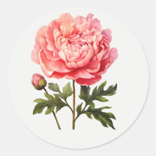 Pink Peony Garden Flower Floral art Classic Round Sticker