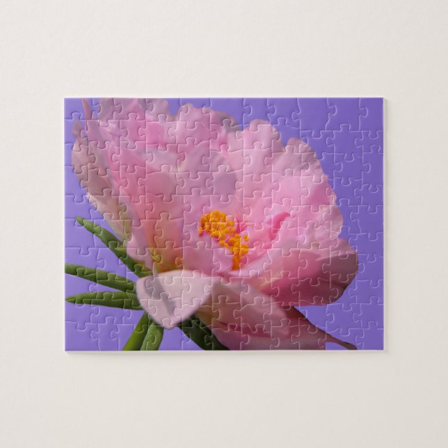 Pink Peony Jigsaw Puzzle (Horizontal)