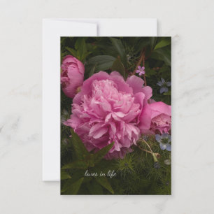 Pink Peony & Love-in-a-mist Card