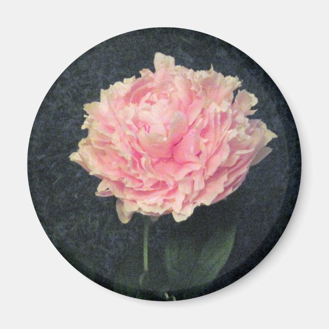 Pink Peony Magnet (Front)