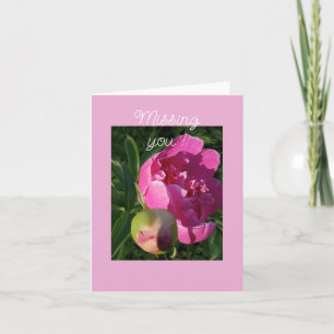 Pink Peony - Missing You Card