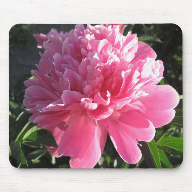 Pink Peony Mouse Mat (Front)