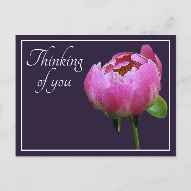 Pink Peony Navy Colour Background Thinking Of You Postcard (Front)
