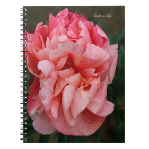 Pink Peony Notebook