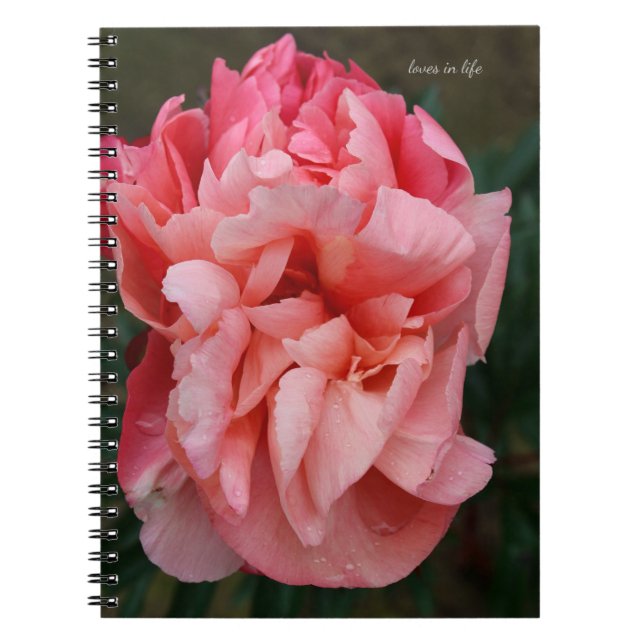 Pink Peony Notebook (Front)