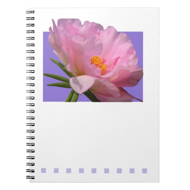 Pink Peony Notebook (Front)