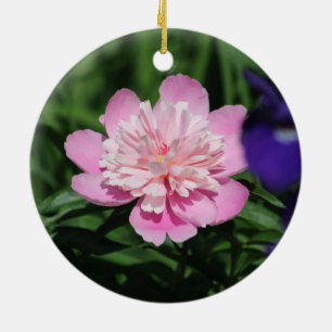 Pink Peony ornament