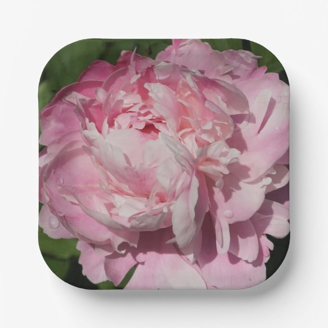 Pink Peony Paper Plate (Front)