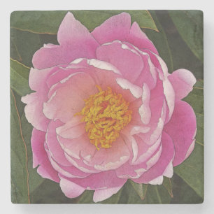 PINK PEONY (PEONY LIEBCHEN) STONE COASTER