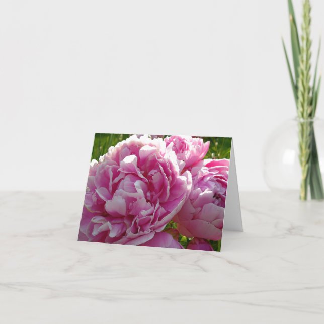 Pink Peony photo cottage farmhouse floral garden Card (Front)