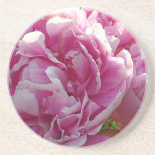Pink Peony photo cottage farmhouse floral garden Coaster