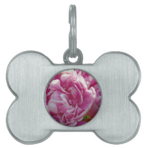 Pink Peony photo cottage farmhouse floral garden Pet Tag