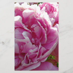Pink Peony photo cottage farmhouse floral garden Stationery