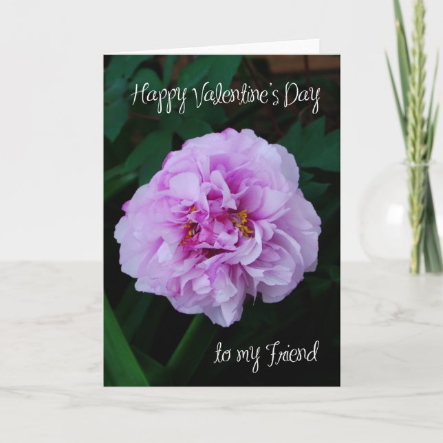 pink peony rose valentine to my friend holiday card (Front)